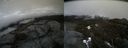 ./images/calvert/buxton2/20200417/buxton220200417_134002M.jpg