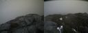 ./images/calvert/buxton2/20200417/buxton220200417_135002M.jpg