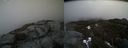./images/calvert/buxton2/20200417/buxton220200417_140002M.jpg