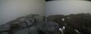 ./images/calvert/buxton2/20200417/buxton220200417_142502M.jpg