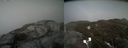 ./images/calvert/buxton2/20200417/buxton220200417_173502M.jpg