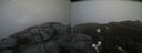 ./images/calvert/buxton2/20200417/buxton220200417_191002M.jpg