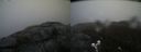 ./images/calvert/buxton2/20200419/buxton220200419_082502M.jpg