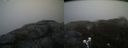 ./images/calvert/buxton2/20200419/buxton220200419_092003M.jpg