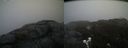 ./images/calvert/buxton2/20200419/buxton220200419_094003M.jpg