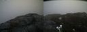 ./images/calvert/buxton2/20200419/buxton220200419_094503M.jpg