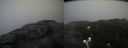 ./images/calvert/buxton2/20200419/buxton220200419_095503M.jpg