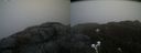 ./images/calvert/buxton2/20200419/buxton220200419_112502M.jpg