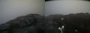 ./images/calvert/buxton2/20200419/buxton220200419_114502M.jpg