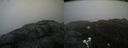 ./images/calvert/buxton2/20200419/buxton220200419_121003M.jpg