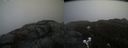 ./images/calvert/buxton2/20200419/buxton220200419_121503M.jpg