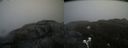 ./images/calvert/buxton2/20200419/buxton220200419_150503M.jpg