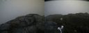 ./images/calvert/buxton2/20200420/buxton220200420_072503M.jpg