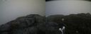 ./images/calvert/buxton2/20200420/buxton220200420_080002M.jpg
