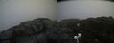 ./images/calvert/buxton2/20200420/buxton220200420_085502M.jpg