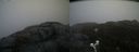 ./images/calvert/buxton2/20200420/buxton220200420_092503M.jpg