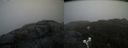 ./images/calvert/buxton2/20200420/buxton220200420_101003M.jpg