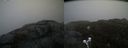 ./images/calvert/buxton2/20200420/buxton220200420_104502M.jpg