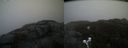 ./images/calvert/buxton2/20200420/buxton220200420_115002M.jpg