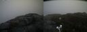 ./images/calvert/buxton2/20200420/buxton220200420_120503M.jpg