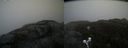 ./images/calvert/buxton2/20200420/buxton220200420_121003M.jpg
