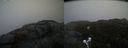 ./images/calvert/buxton2/20200420/buxton220200420_121503M.jpg