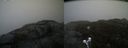 ./images/calvert/buxton2/20200420/buxton220200420_122003M.jpg