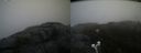 ./images/calvert/buxton2/20200420/buxton220200420_134002M.jpg