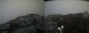 ./images/calvert/buxton2/20200420/buxton220200420_164002M.jpg