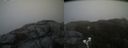 ./images/calvert/buxton2/20200420/buxton220200420_173503M.jpg
