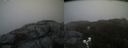 ./images/calvert/buxton2/20200420/buxton220200420_174003M.jpg