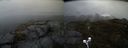 ./images/calvert/buxton2/20200421/buxton220200421_143502M.jpg