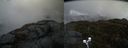./images/calvert/buxton2/20200422/buxton220200422_112502M.jpg