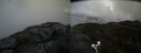 ./images/calvert/buxton2/20200422/buxton220200422_125503M.jpg