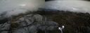 ./images/calvert/buxton2/20200422/buxton220200422_151503M.jpg