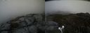 ./images/calvert/buxton2/20200422/buxton220200422_155003M.jpg