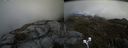 ./images/calvert/buxton2/20200422/buxton220200422_160003M.jpg