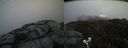 ./images/calvert/buxton2/20200422/buxton220200422_161003M.jpg