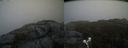 ./images/calvert/buxton2/20200422/buxton220200422_171002M.jpg