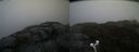 ./images/calvert/buxton2/20200423/buxton220200423_074003M.jpg
