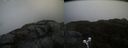 ./images/calvert/buxton2/20200423/buxton220200423_100503M.jpg