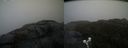 ./images/calvert/buxton2/20200423/buxton220200423_105003M.jpg