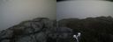 ./images/calvert/buxton2/20200423/buxton220200423_143502M.jpg