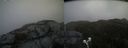 ./images/calvert/buxton2/20200423/buxton220200423_151002M.jpg