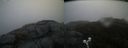 ./images/calvert/buxton2/20200424/buxton220200424_074003M.jpg
