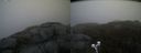 ./images/calvert/buxton2/20200424/buxton220200424_085503M.jpg