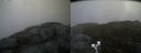 ./images/calvert/buxton2/20200424/buxton220200424_090503M.jpg