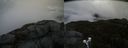 ./images/calvert/buxton2/20200424/buxton220200424_092503M.jpg