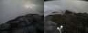 ./images/calvert/buxton2/20200424/buxton220200424_101002M.jpg