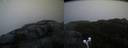 ./images/calvert/buxton2/20200425/buxton220200425_062503M.jpg